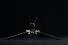 Load image into Gallery viewer, BACKLANZ®️ Precision Alpine Bipod